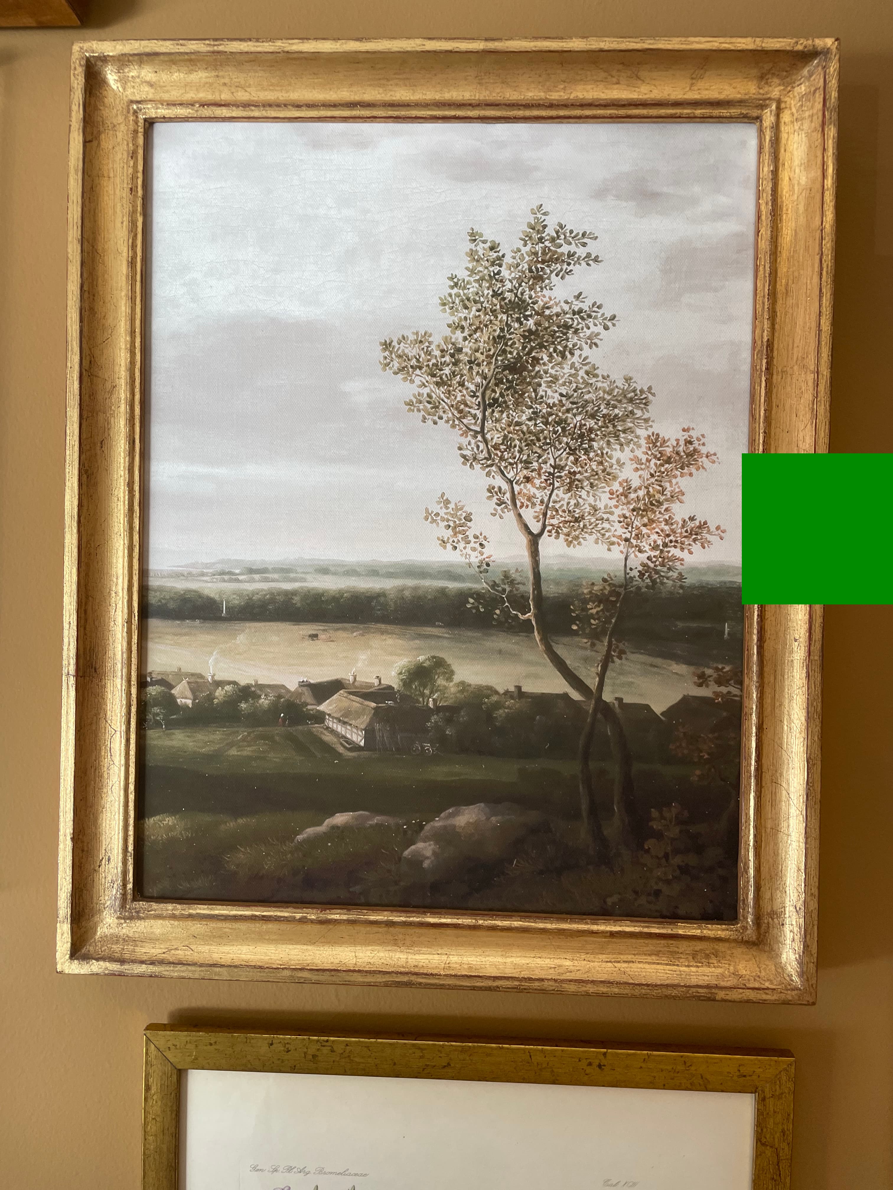 Árvore na Campina — Paisagem · óleo